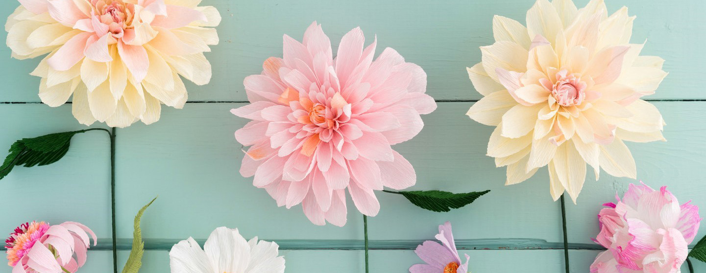 beautiful flowers